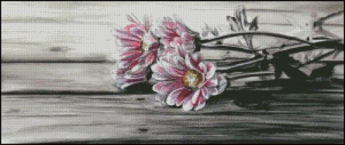 (image for) Flowers